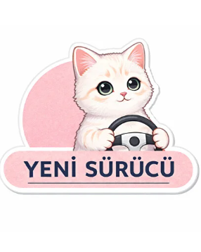 Yeni Sürücü 10cm